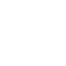 api icon